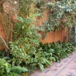 brick courtyard