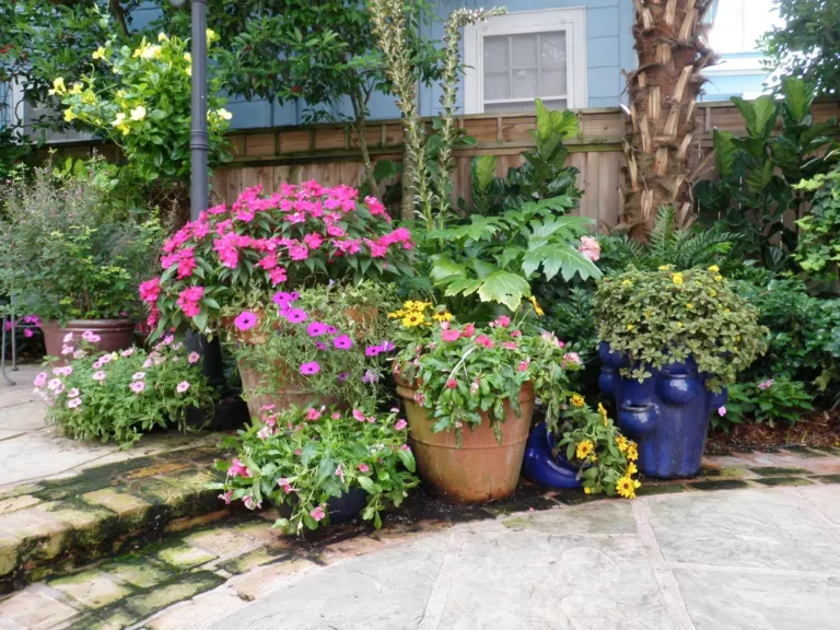 Bev Courtyard 12 (1)