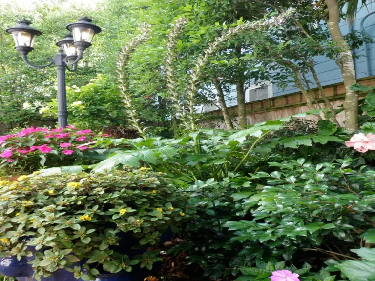 Bev Courtyard 13