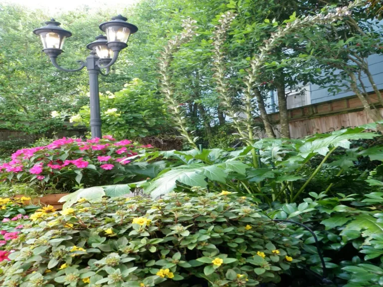 Bev Courtyard 20