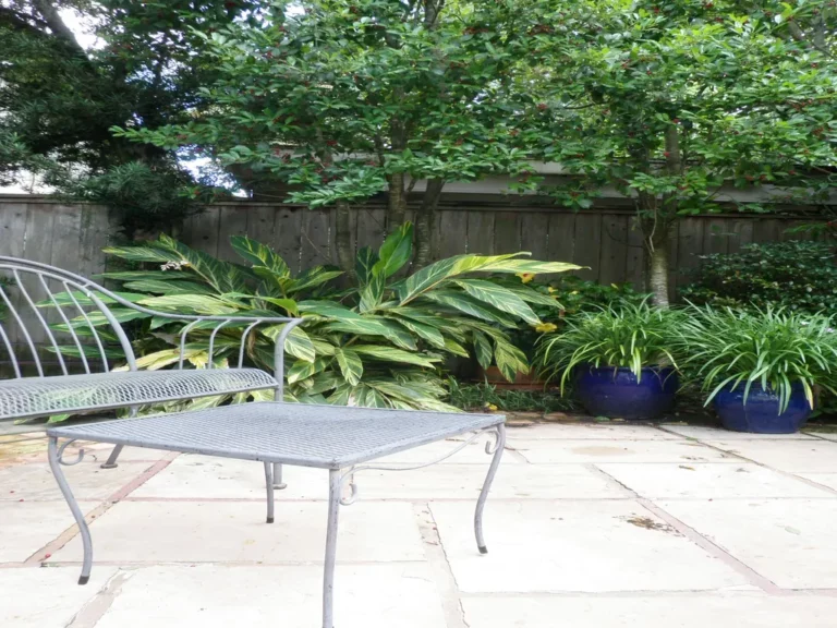 Bev Courtyard 26