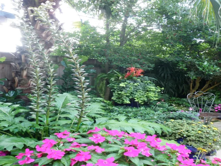 Bev Courtyard 28