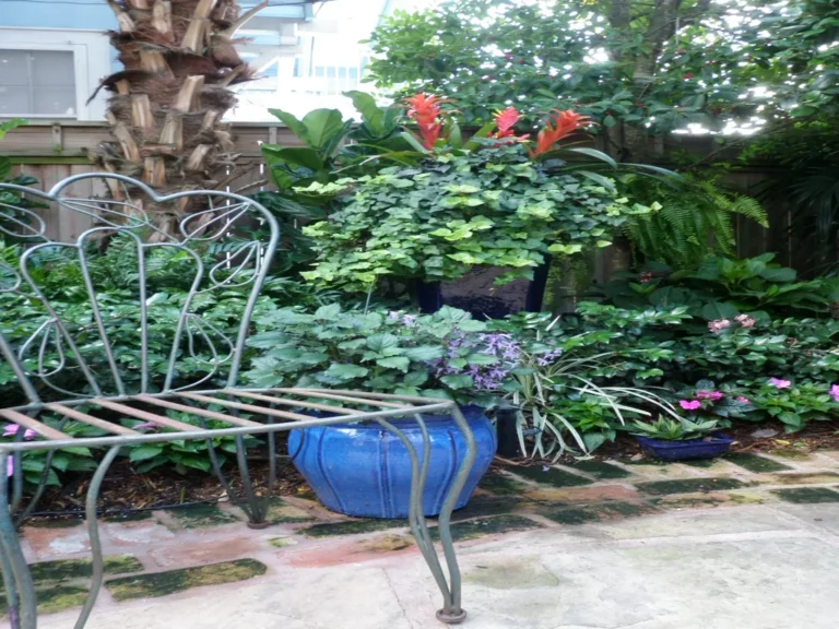 Bev Courtyard 29