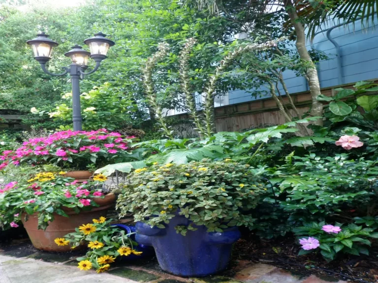 Bev Courtyard 5