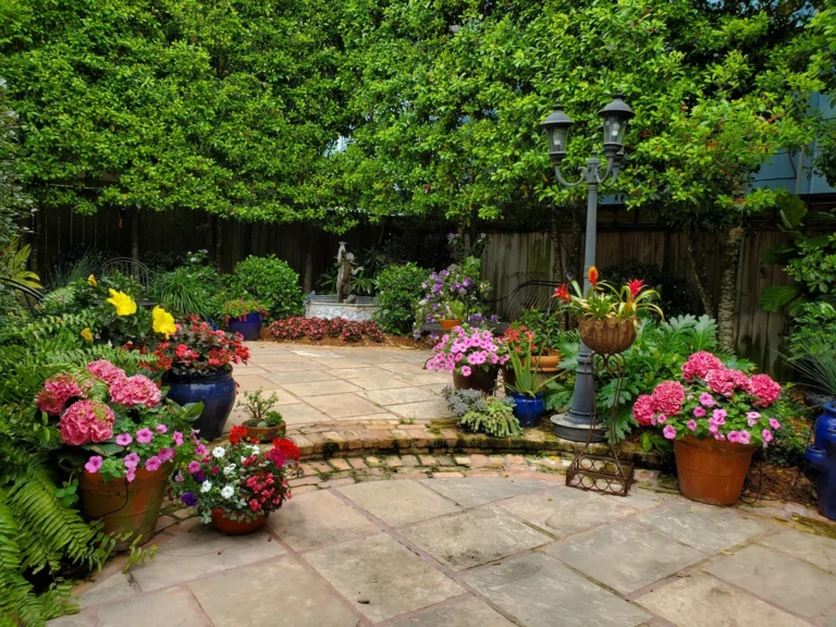 Bev-Courtyard_2019