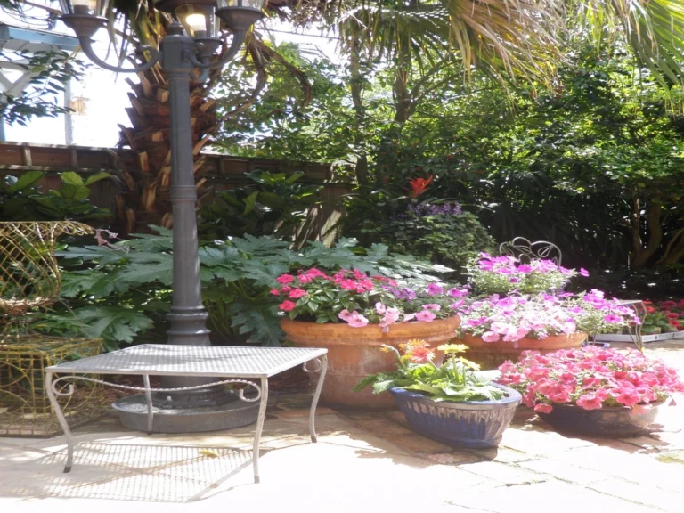 Beverly_0024