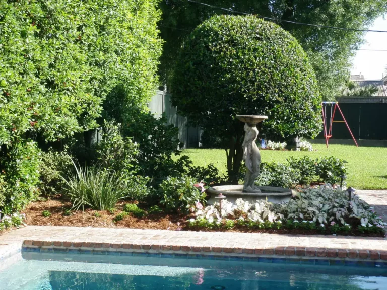 landscape maintenance services