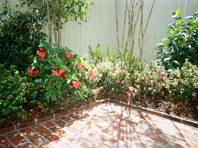 Hollingsworth 003